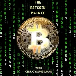 The Bitcoin Matrix