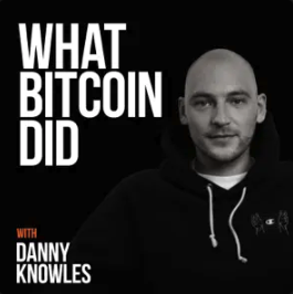 What Bitcoin Did